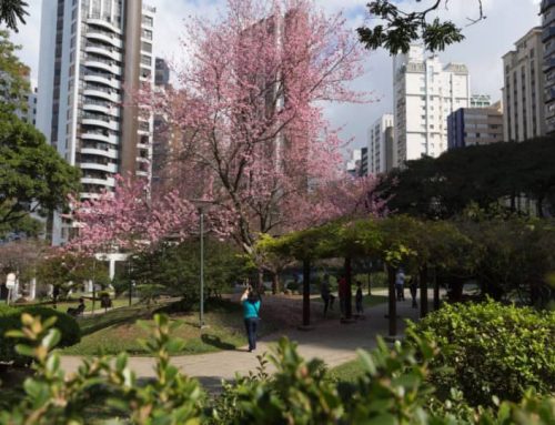 Água Verde: tudo sobre o bairro mais desejado e valorizado de Curitiba!